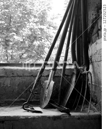 Old tools in the barn Old tools in the barn 127202523