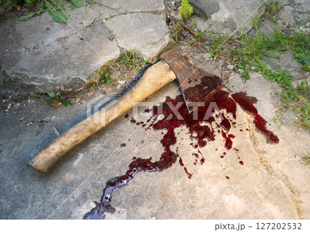 Irone axe lies on the ground 127202532