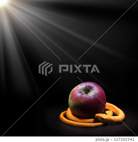 The snake lies near the apple The snake lies near the apple 127202541