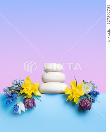 Concept scene stage showcase for new product, banner, promotion sale, cosmetic, presentation. Wood stones and spring flowers muscari, grouse and yellow daffodils on blue podium. Concept scene stage showcase for new product, banner, promotion sale, cosmetic, presentation. Wood stones and spring flowers muscari, grouse and yellow daffodils on blue podium. 127202783