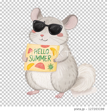 animal in the world Wear black sunglasses  stand Holding a sign Hello Summer white background 127203199