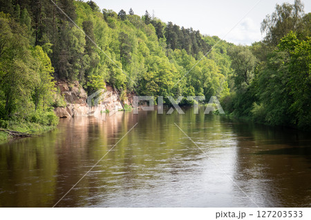 Scenic River Flowing Through Forest with Sandstone Cliffs and Reflections in Springtime Scenic River Flowing Through Forest with Sandstone Cliffs and Reflections in Springtime 127203533