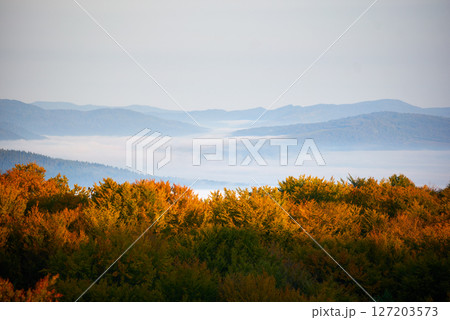 Vibrant autumn landscape. Trees adorned in fiery red, orange, and yellow foliage. Layers of mist blanket valleys, distant mountains rise under soft, pastel sky. Warm autumn colors. 127203573