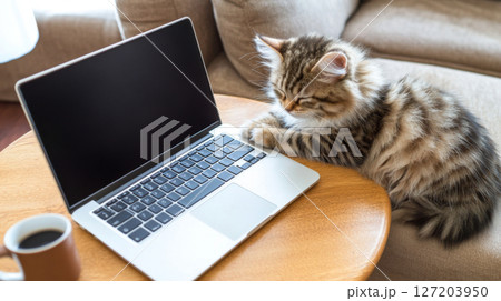 Kitten napping on laptop with a cup of coffee, cozy home setting 127203950