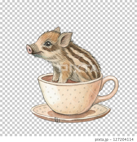 cutest animals in Japan  sitting in a teacup white background cutest animals in Japan  sitting in a teacup white background 127204114