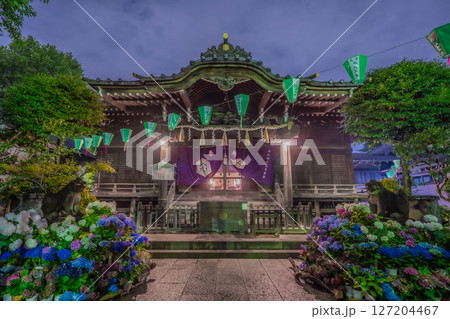 白山神社 文京あじさいまつり 127204467