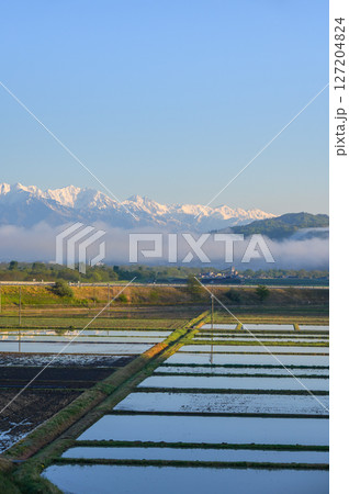北アルプスと水田地帯と朝霧【安曇野】 127204824