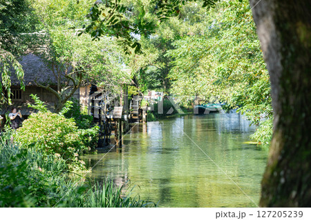 ＜安曇野＞大王わさび農場の水車と美しい小川の絶景 127205239