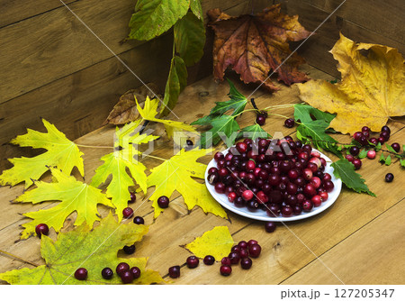 Still-life with cranberries on a white saucer and autumn leaves on a wooden surface Still-life with cranberries on a white saucer and autumn leaves on a wooden surface 127205347