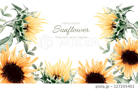 水彩で描いたひまわりのフレーム 127205401