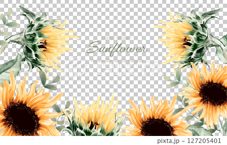 水彩で描いたひまわりのフレーム 127205401