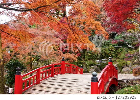 静岡県 熱海梅園の色鮮やかな紅葉と駐杖橋 静岡県 熱海梅園の色鮮やかな紅葉と駐杖橋 127205925