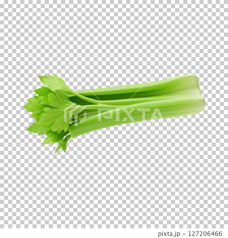 Fresh green celery stalk 3d illustration isolated on transparent background 127206466