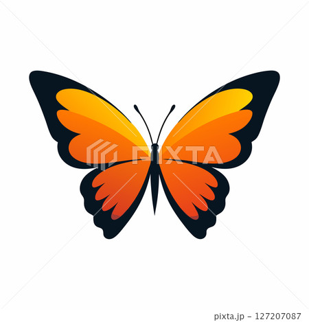 Stunning Orange Butterfly Image High Resolution Nature Photography 127207087