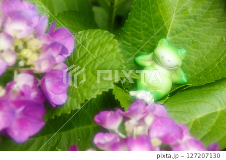 梅雨のイメージ 127207130