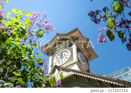 青空と時計台 北海道札幌市 127207258