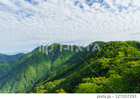新緑の山並み 127207293
