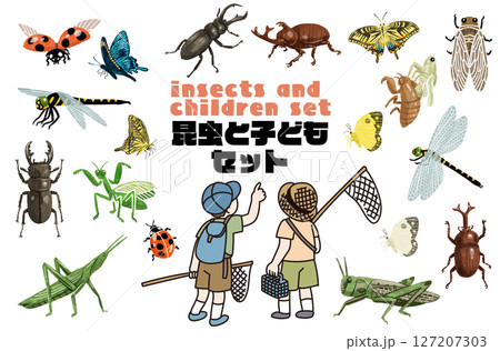 昆虫採集をする子どものベクターイラスト 127207303