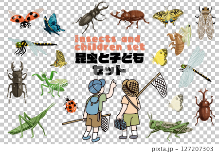 兒童採集昆蟲的向量圖 127207303