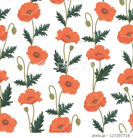 Poppies seamless vector pattern. Bright various poppies in flat style 127207718
