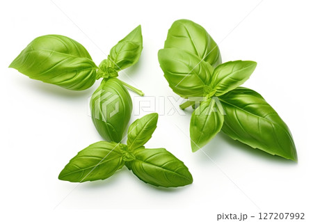 Basil leaves isolated on white background. Ai Generative 127207992