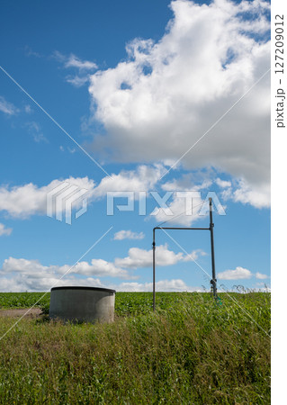 給水場のある緑の野菜畑と青空 127209012