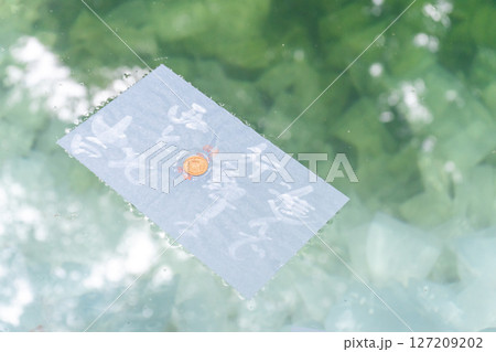 島根県松江市 八重垣神社 鏡の池の恋占い 島根県松江市 八重垣神社 鏡の池の恋占い 127209202