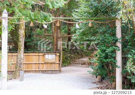 島根県松江市　八重垣神社　鏡の池の恋占い 127209213