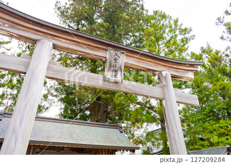 島根県松江市 八重垣神社の鳥居 島根県松江市 八重垣神社の鳥居 127209284