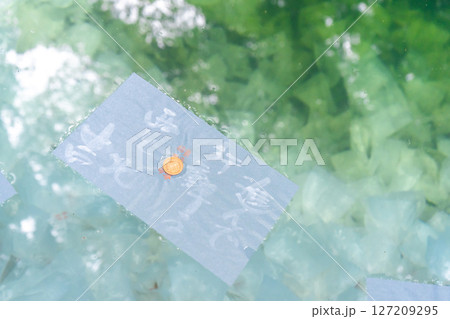 島根県松江市　八重垣神社　鏡の池の恋占い 127209295