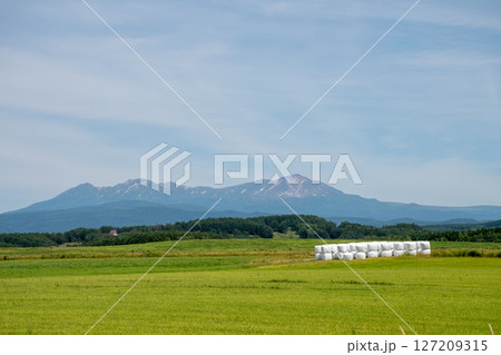 緑の草原と夏の山並み　大雪山 127209315