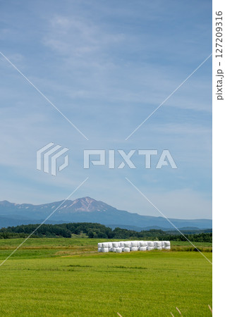 緑の草原と夏の山並み　大雪山 127209316