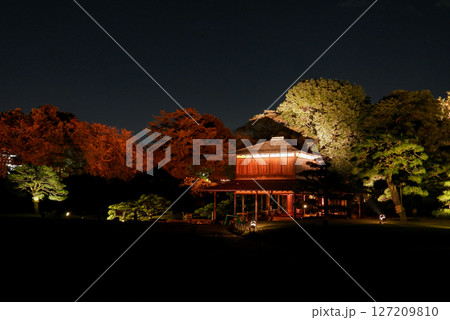 ライトアップされた岡山後楽園の流店 ライトアップされた岡山後楽園の流店 127209810
