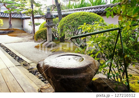 京都府 東寺 観智院・手水鉢 蹲踞 京都市 南区 九条町 2022年2月 京都府 東寺 観智院・手水鉢 蹲踞 京都市 南区 九条町 2022年2月 127210312