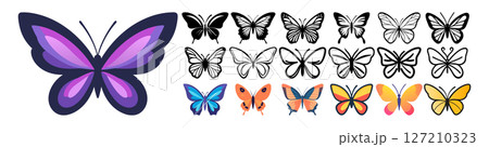 Beautiful Purple Butterfly and Collection of Colorful Butterflies 127210323