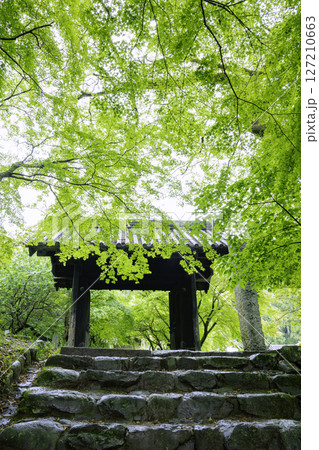 初夏の新緑が美しい秋月城跡　黒門 127210663