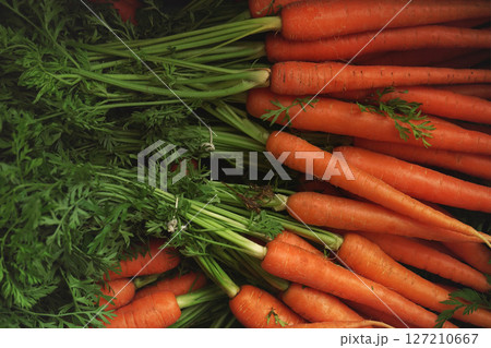Heap of orange carrot roots with green leaves displayed at food market, closeup detail Heap of orange carrot roots with green leaves displayed at food market, closeup detail 127210667
