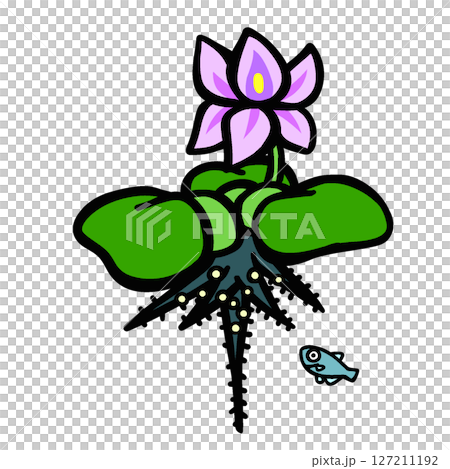 Illustration of a killifish with eggs and a water lily Illustration of a killifish with eggs and a water lily 127211192