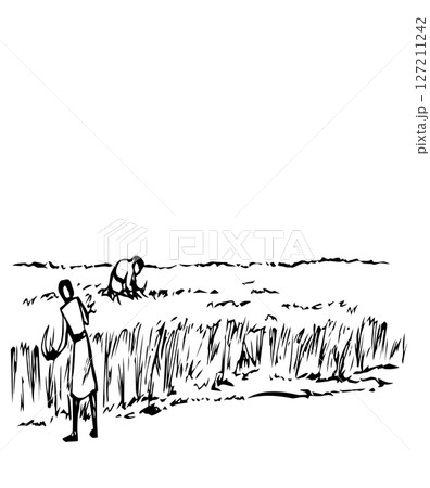 Vector drawing. Reapers in the field 127211242