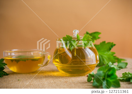 Herbal tea with mint and currant in a transparent teapot 127211361