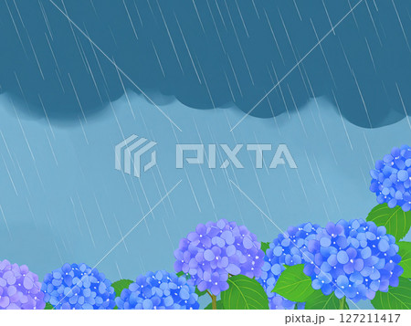 紫陽花　梅雨　雨　大雨 127211417