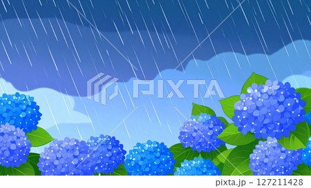 紫陽花 梅雨 雨 大雨 紫陽花 梅雨 雨 大雨 127211428