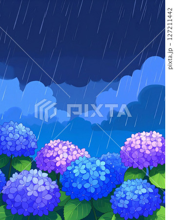 紫陽花　梅雨　雨　大雨 127211442