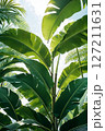 Vibrant green tropical leaves reach towards a bright sky, refresh and natural background. Perfect for tropical, nature, or summer themes. 127211631