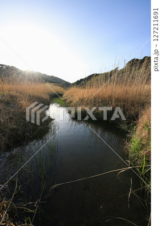 兵庫県神河町　砥峰高原の風景 127211691