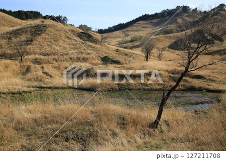 兵庫県神河町 砥峰高原の風景 兵庫県神河町 砥峰高原の風景 127211708