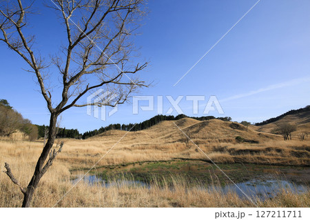 兵庫県神河町　砥峰高原の風景 127211711