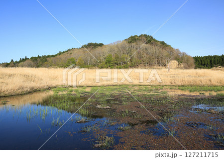 兵庫県神河町　砥峰高原の風景 127211715