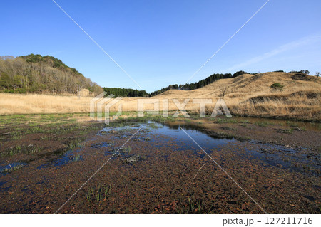 兵庫県神河町 砥峰高原の風景 兵庫県神河町 砥峰高原の風景 127211716
