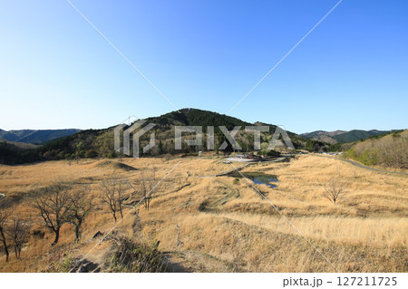 兵庫県神河町　砥峰高原の風景 127211725